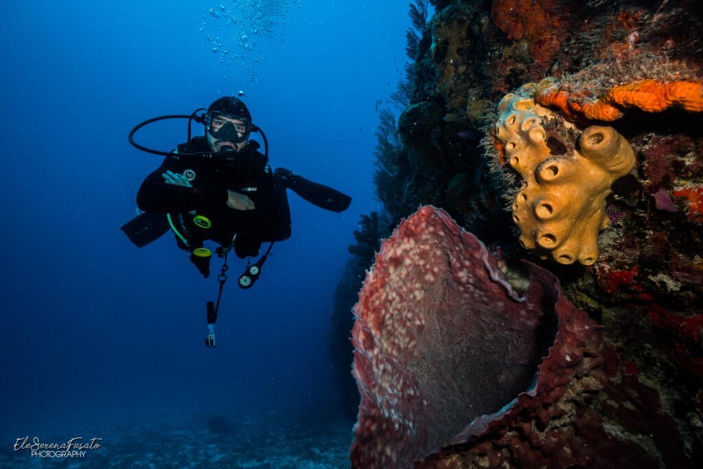 coral reef diving cancun