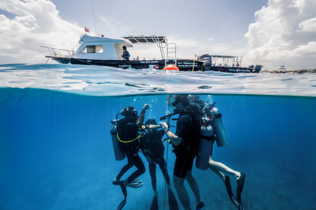 discover scuba diving playa del carmen, padi lessons mexico